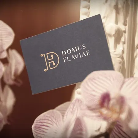 Domus Flaviae Guest house